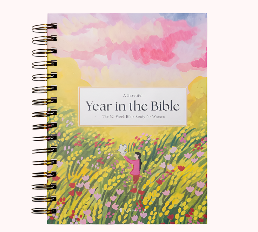 A Beautiful Year in the  Bible + Free Highlighter Set